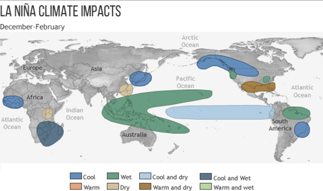 02-03-21 WisdomTree 1